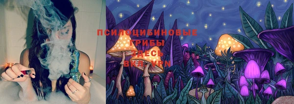 spice Фурманов