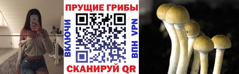 Галлюциногенные грибы ЛСД Гусиноозёрск